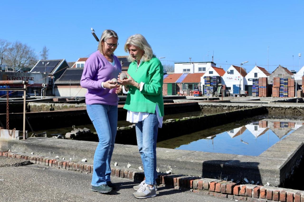 Wolphaartsdijk Huis Met Een Uitzicht Екстер'єр фото